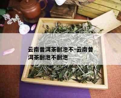 云南普洱茶耐泡不-云南普洱茶耐泡不耐泡