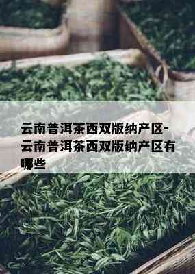 云南普洱茶西双版纳产区-云南普洱茶西双版纳产区有哪些