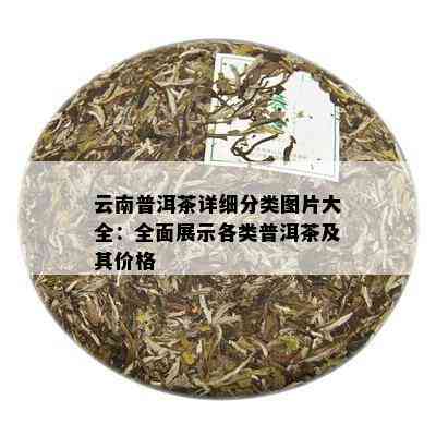 云南普洱茶详细分类图片大全：全面展示各类普洱茶及其价格