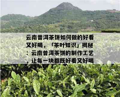 云南普洱茶饼如何做的好看又好喝，「茶叶知识」揭秘：云南普洱茶饼的制作工艺，让每一块都既好看又好喝！