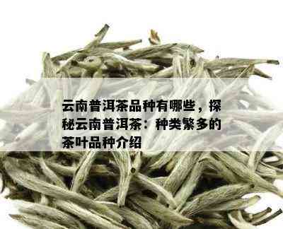 云南普洱茶品种有哪些，探秘云南普洱茶：种类繁多的茶叶品种介绍