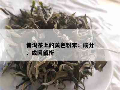 普洱茶上的黄色粉末：成分、成因解析