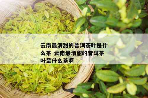 云南最清甜的普洱茶叶是什么茶-云南最清甜的普洱茶叶是什么茶啊