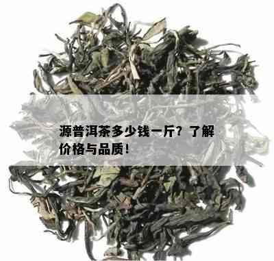 源普洱茶多少钱一斤？了解价格与品质！