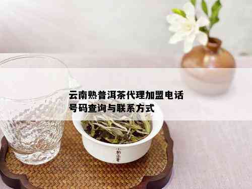 云南熟普洱茶代理加盟电话号码查询与联系方式