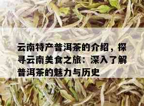 云南特产普洱茶的介绍，探寻云南美食之旅：深入了解普洱茶的魅力与历史