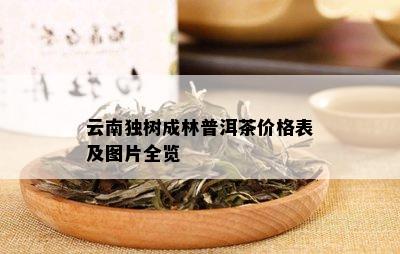 云南独树成林普洱茶价格表及图片全览