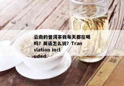 云南的普洱茶我每天都在喝吗？英语怎么说？Translation included.