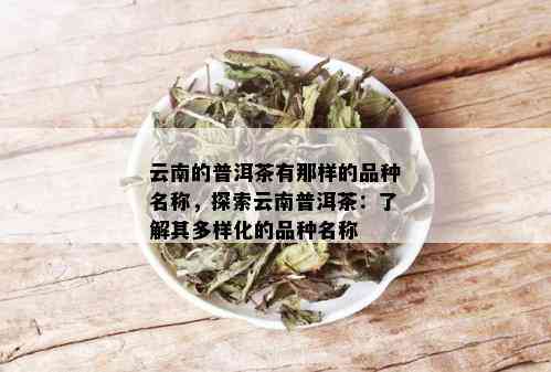 云南的普洱茶有那样的品种名称，探索云南普洱茶：了解其多样化的品种名称