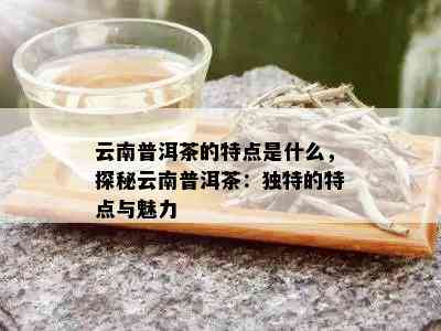 云南普洱茶的特点是什么，探秘云南普洱茶：独特的特点与魅力