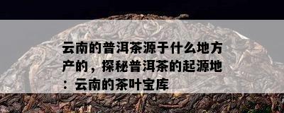 云南的普洱茶源于什么地方产的，探秘普洱茶的起源地：云南的茶叶宝库