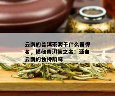 云南的普洱茶源于什么而得名，揭秘普洱茶之名：源自云南的独特韵味