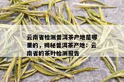 云南省检测普洱茶产地是哪里的，揭秘普洱茶产地：云南省的茶叶检测报告