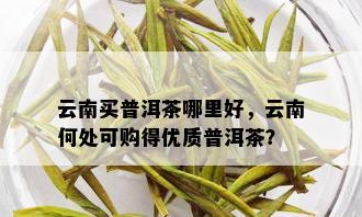 云南买普洱茶哪里好，云南何处可购得优质普洱茶？