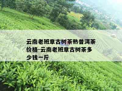 云南老班章古树茶熟普洱茶价格-云南老班章古树茶多少钱一斤