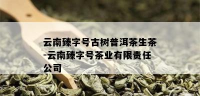 云南臻字号古树普洱茶生茶-云南臻字号茶业有限责任公司