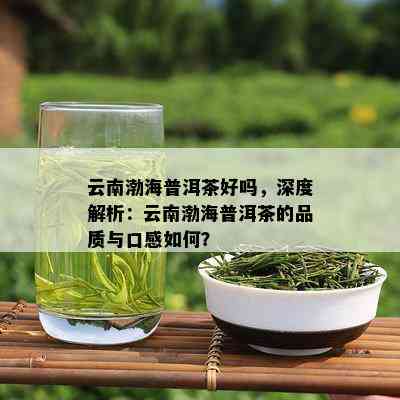 云南渤海普洱茶好吗，深度解析：云南渤海普洱茶的品质与口感如何？