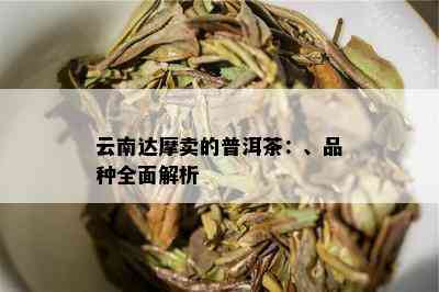 云南达摩卖的普洱茶：、品种全面解析