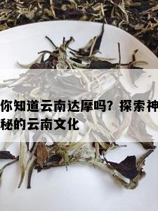 你知道云南达摩吗？探索神秘的云南文化