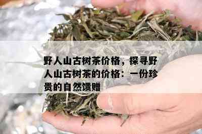 野人山古树茶价格，探寻野人山古树茶的价格：一份珍贵的自然馈赠