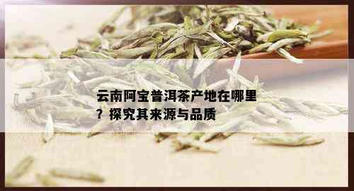 云南阿宝普洱茶产地在哪里？探究其来源与品质