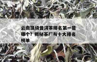 云南顶级普洱茶排名之一是哪个？揭秘茶厂与十大排名榜单