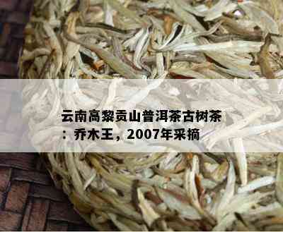 云南高黎贡山普洱茶古树茶：乔木王，2007年采摘