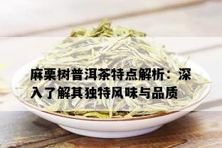 麻栗树普洱茶特点解析：深入了解其独特风味与品质