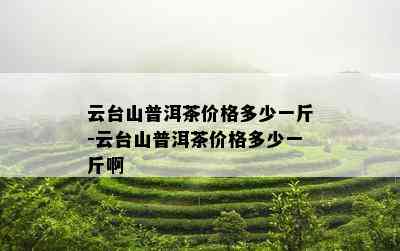 云台山普洱茶价格多少一斤-云台山普洱茶价格多少一斤啊