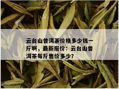 云台山普洱茶价格多少钱一斤啊，最新报价：云台山普洱茶每斤售价多少？