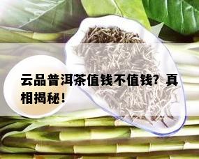 云品普洱茶值钱不值钱？真相揭秘！