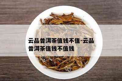 云品普洱茶值钱不值-云品普洱茶值钱不值钱