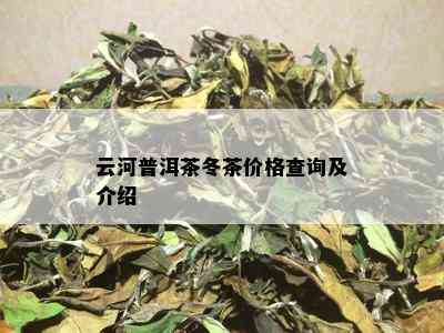 云河普洱茶冬茶价格查询及介绍