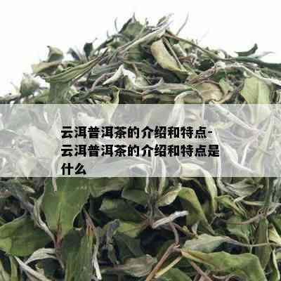 云洱普洱茶的介绍和特点-云洱普洱茶的介绍和特点是什么