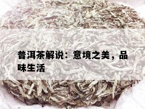 普洱茶解说：意境之美，品味生活