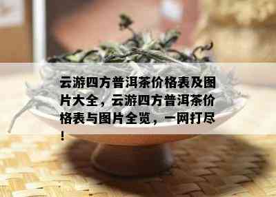 云游四方普洱茶价格表及图片大全，云游四方普洱茶价格表与图片全览，一网打尽！