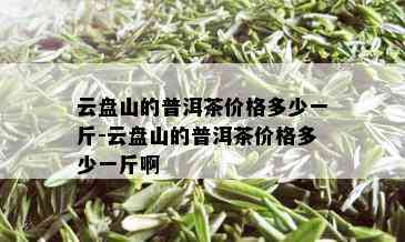 云盘山的普洱茶价格多少一斤-云盘山的普洱茶价格多少一斤啊