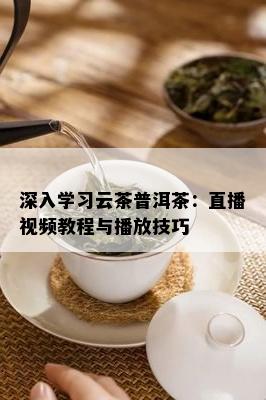 深入学习云茶普洱茶：直播视频教程与播放技巧