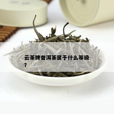 云茶牌普洱茶属于什么等级？