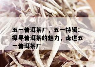 五一普洱茶厂，五一特辑：探寻普洱茶的魅力，走进五一普洱茶厂