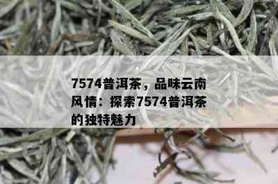 7574普洱茶，品味云南风情：探索7574普洱茶的独特魅力