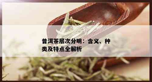 普洱茶层次分明：含义、种类及特点全解析