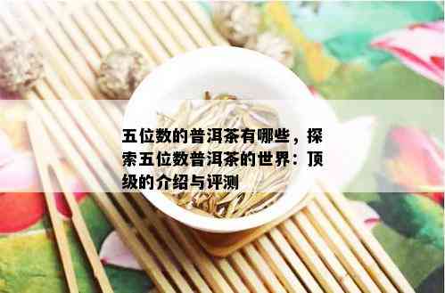 五位数的普洱茶有哪些，探索五位数普洱茶的世界：顶级的介绍与评测