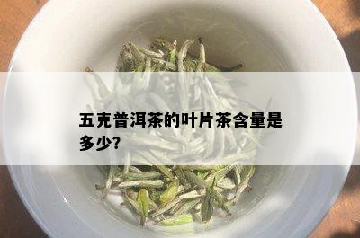 五克普洱茶的叶片茶含量是多少？