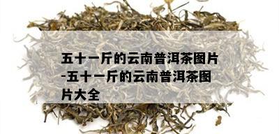 五十一斤的云南普洱茶图片-五十一斤的云南普洱茶图片大全