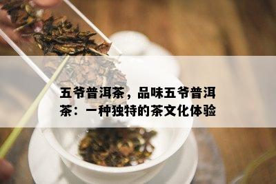 五爷普洱茶，品味五爷普洱茶：一种独特的茶文化体验