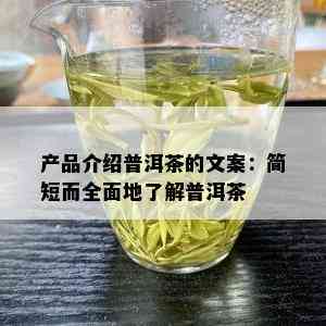 产品介绍普洱茶的文案：简短而全面地了解普洱茶