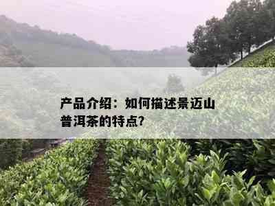 产品介绍：如何描述景迈山普洱茶的特点？