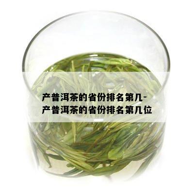 产普洱茶的省份排名第几-产普洱茶的省份排名第几位