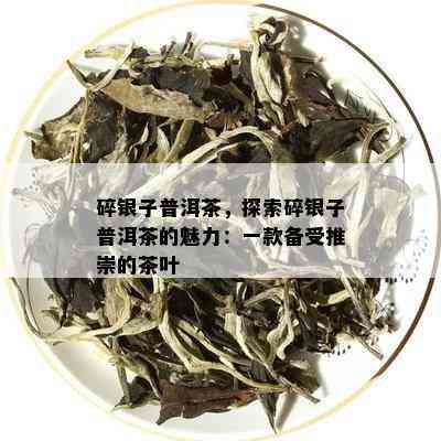 碎银子普洱茶，探索碎银子普洱茶的魅力：一款备受推崇的茶叶